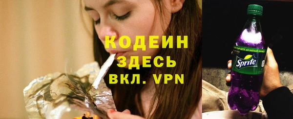 индика Балабаново