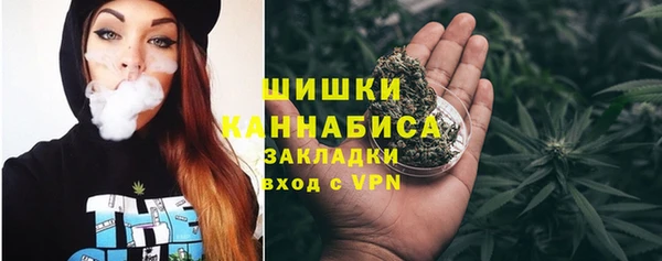 индика Балабаново