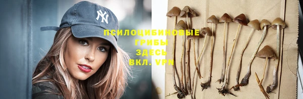 индика Балабаново