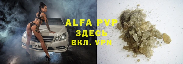 индика Балабаново