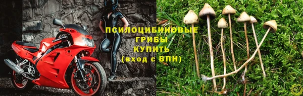 стафф Баксан