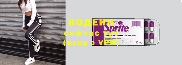 индика Балабаново