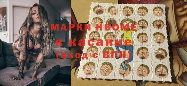 индика Балабаново