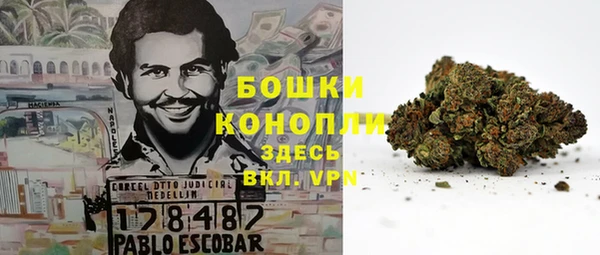стафф Баксан