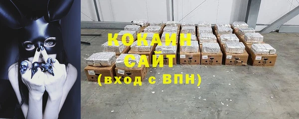 индика Балабаново
