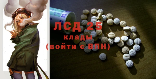 индика Балабаново